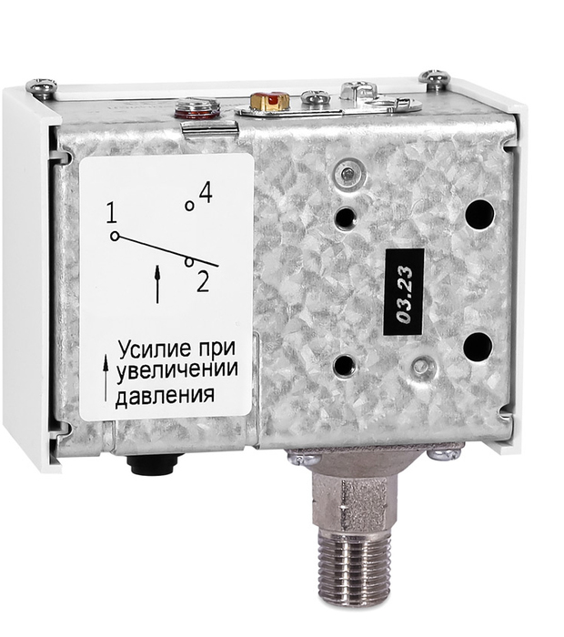 РД-2Р Модель-35-0,8МПа-G1/2 0,2-8 бар