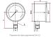 Напоромер КМ-11Р (0... 25 кРа) М12х1,5.2,5