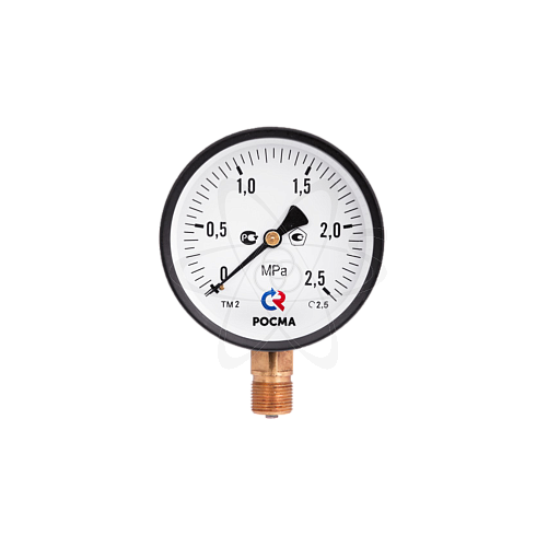 Манометр ТМ-210Р.00   (0...2,5 МPа) (газ) ч/к М12х1.5 кл2.5