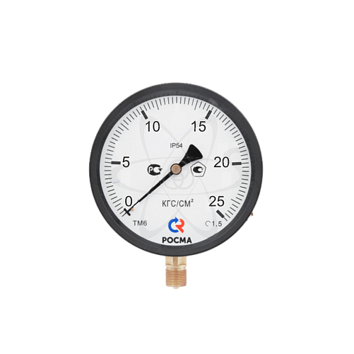 Манометр ТМ 100 (0...25кгс/см2) кл1.5 М20х1.5