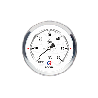 БТ-30.010(0...60С) 2,5 трубный