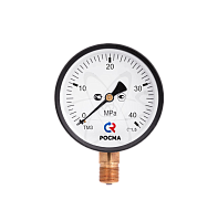 Манометр ТМ-310Р.00 (0...40 МРа) М12х1.5 кл2.5
