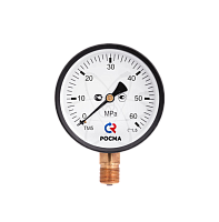 Манометр ТМ-510Р.00 (0...60 МPа) G1/2 кл1.5